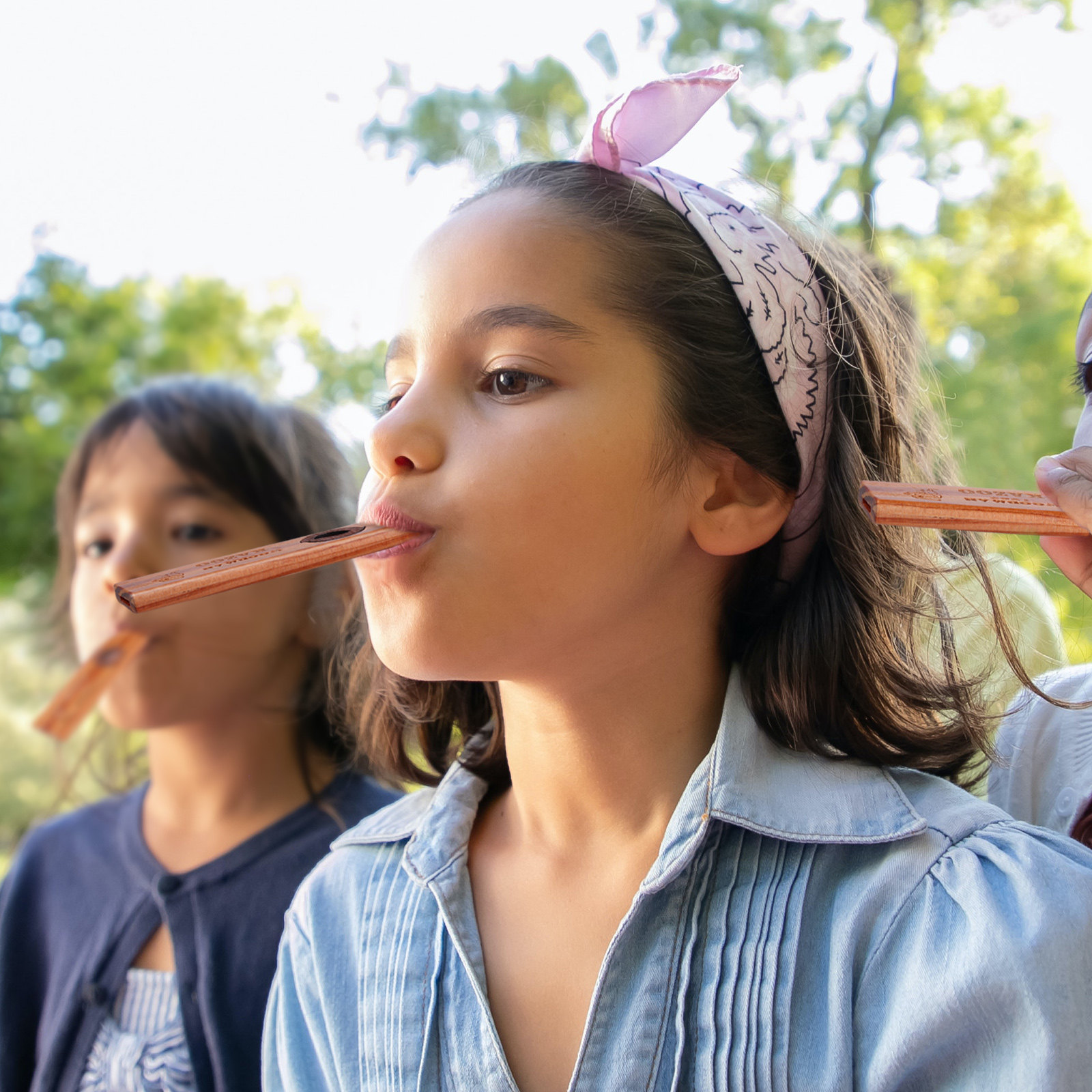 1Set Wooden Kazoo Flute Premiu - Musical Instrument Easy To Learn For Adults review and price