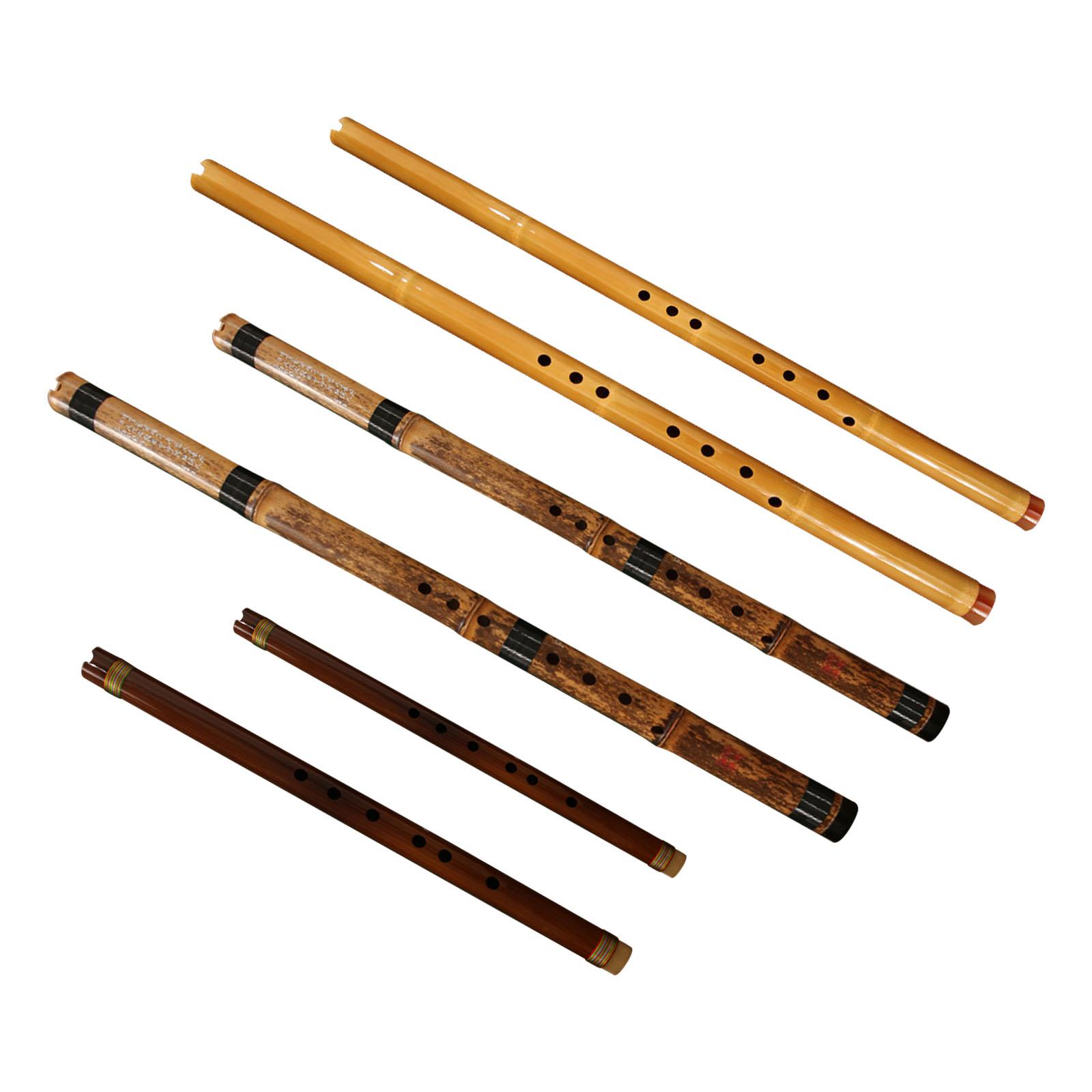 Flute Classic Musical Instrume - Musical Instrument Easy To Learn For Adults review and price
