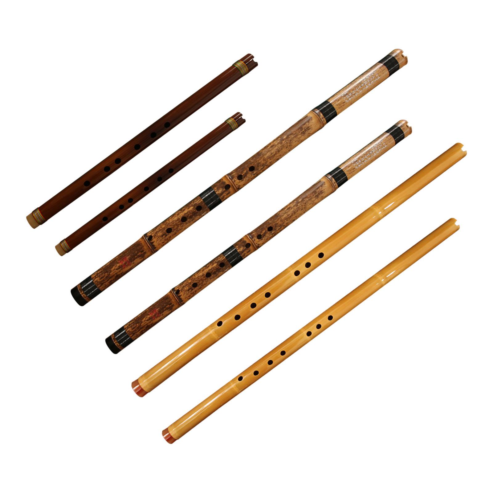 Flute Classic Musical Instrume - Musical Instrument Easy To Learn For Adults review and price